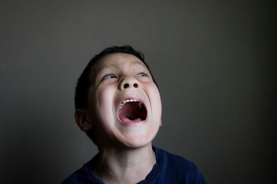 COMPORTAMENTI PROBLEMA NELL’AUTISMO – Cosa può fare la Terapia Occupazionale