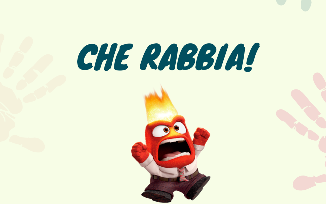 Che rabbia